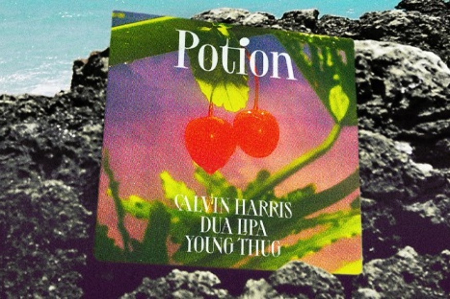 Release G One : Calvin Harris & Da Lipa - Potion